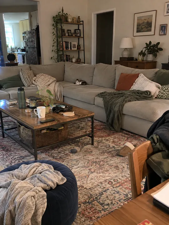 A small cat far away on a sofa in a wide living room shot